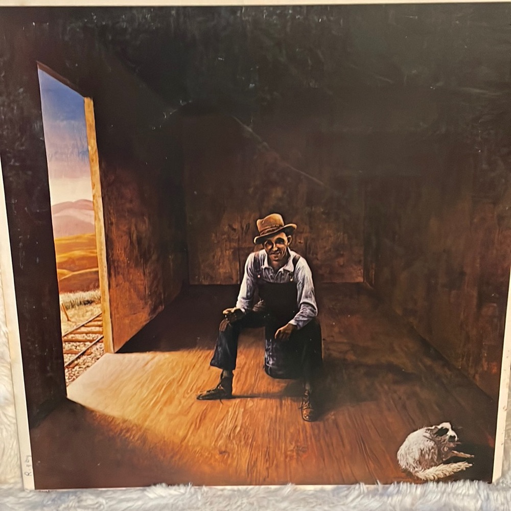 Don McLean - Homeless Brother vinyl record original sleeve included
